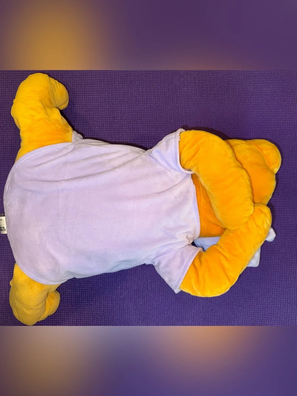 Disney plush winnie